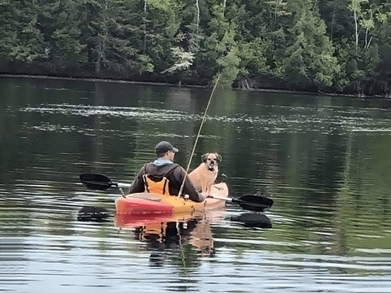 Steve B. kayaking with his dog in a Maine lake. Fishing pole attached.
